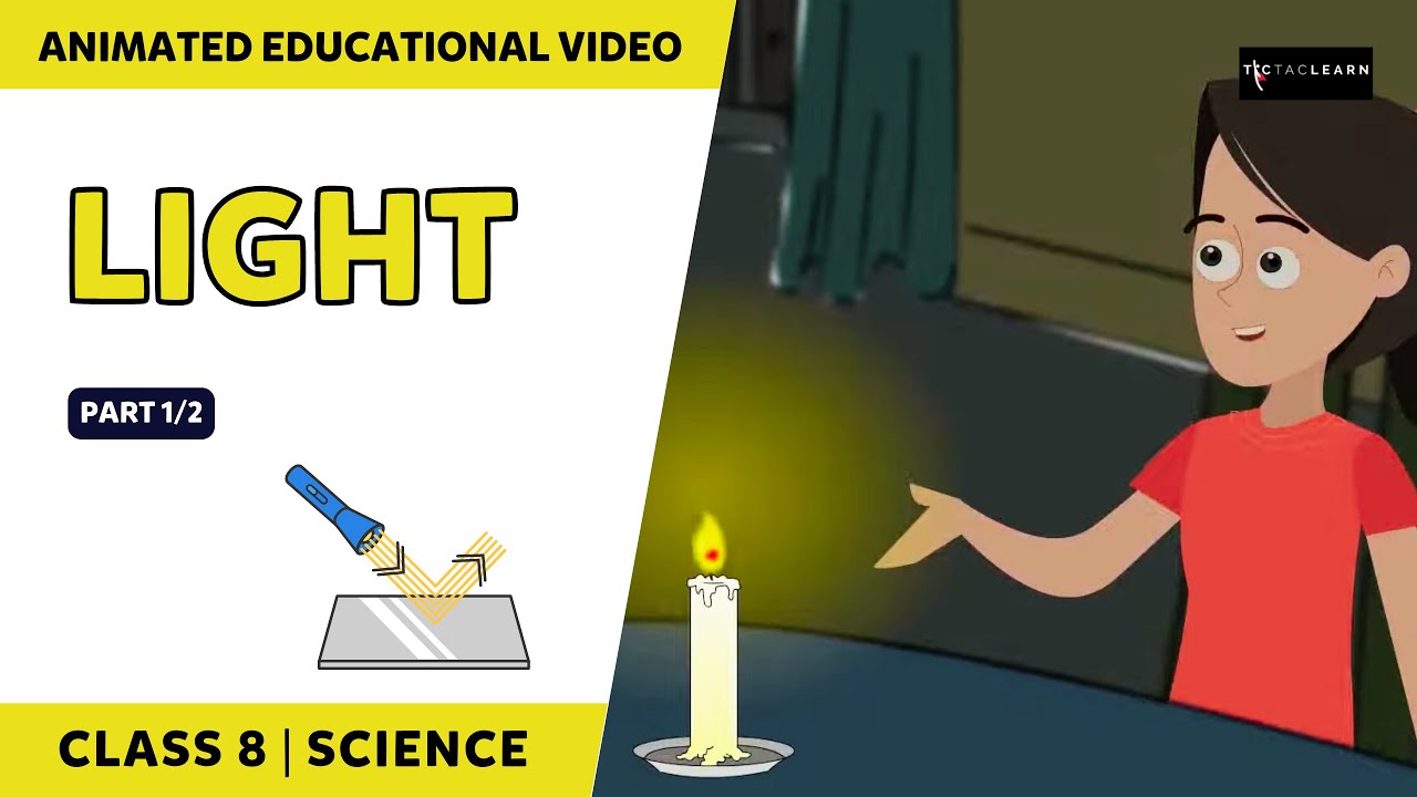 Light | Reflection of Light | Part 1/2 | Class 8 | English Explanation | TicTacLearn English