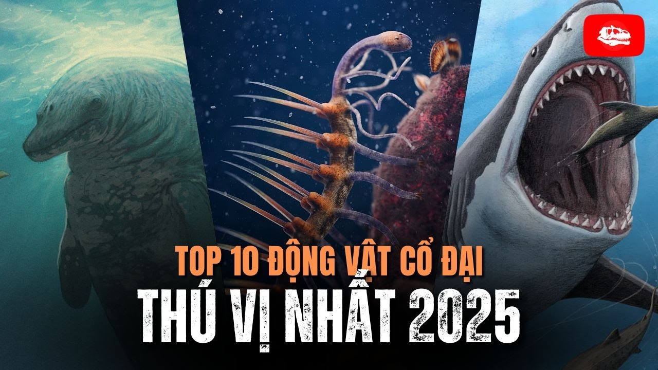 10 động vật cổ đại thú vị nhất năm 2025 | Video tổng hợp