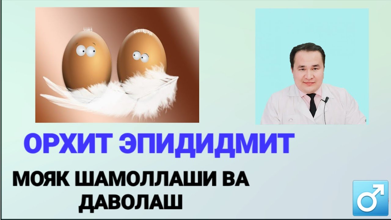 ERKAK MOYAK SHAMOLLASHI VA DAVOSI