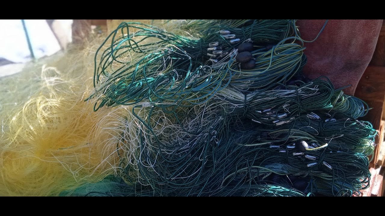 Сети на карася ячея 45 мм и 60 ки на толстолоба.