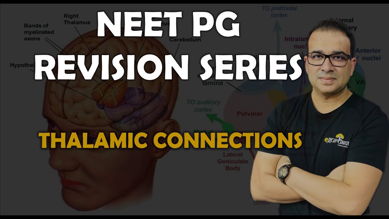 NEET PG- THALAMIC CONNECTIONS