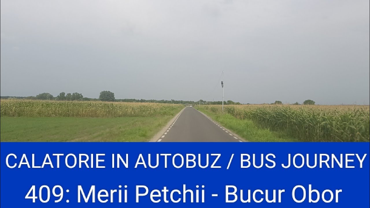 🇷🇴 BUS JOURNEY | STV Voluntari 409: Merii Petchii ➔ Bucur Obor