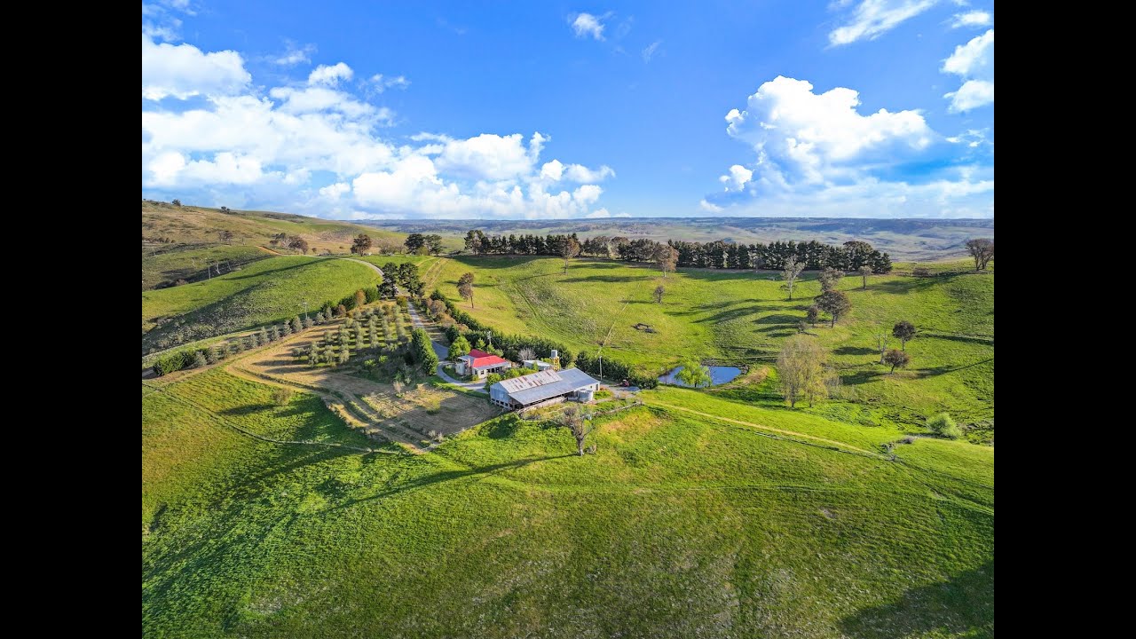 Elders Goulburn | 'Burraview Farm', Golspie