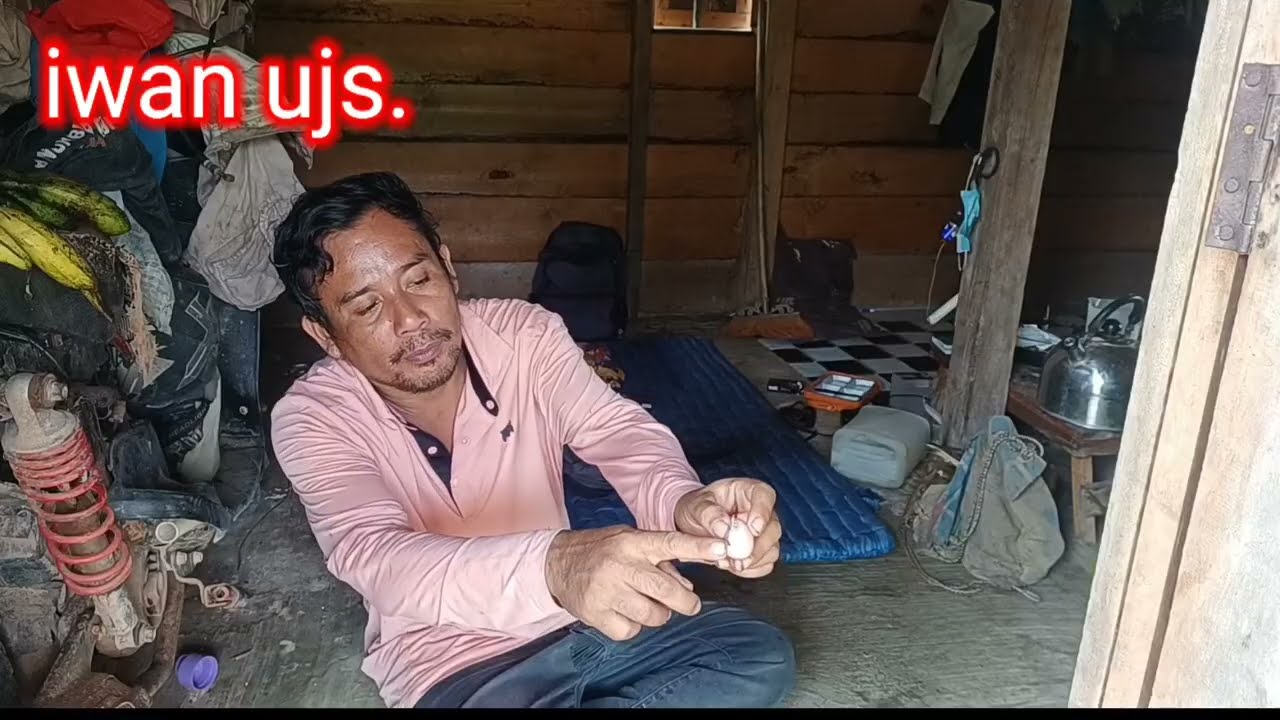 suasana kebun rompok buah'an pada matang dan berguguran.!!
