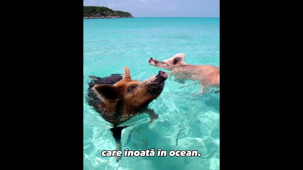 9 locuri de vis care &icirc;ți taie respirația