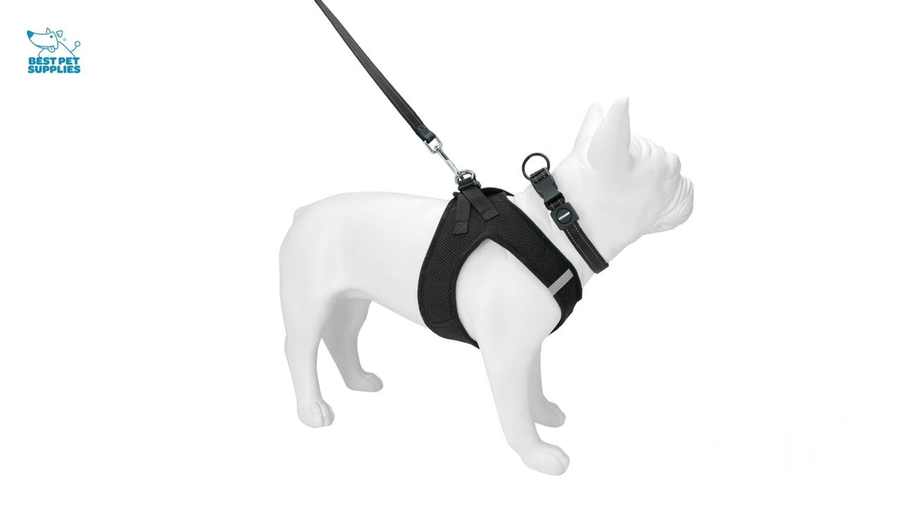 Best Pet Supplies Voyager Dog Collar Safety Clip with Dual Clasps