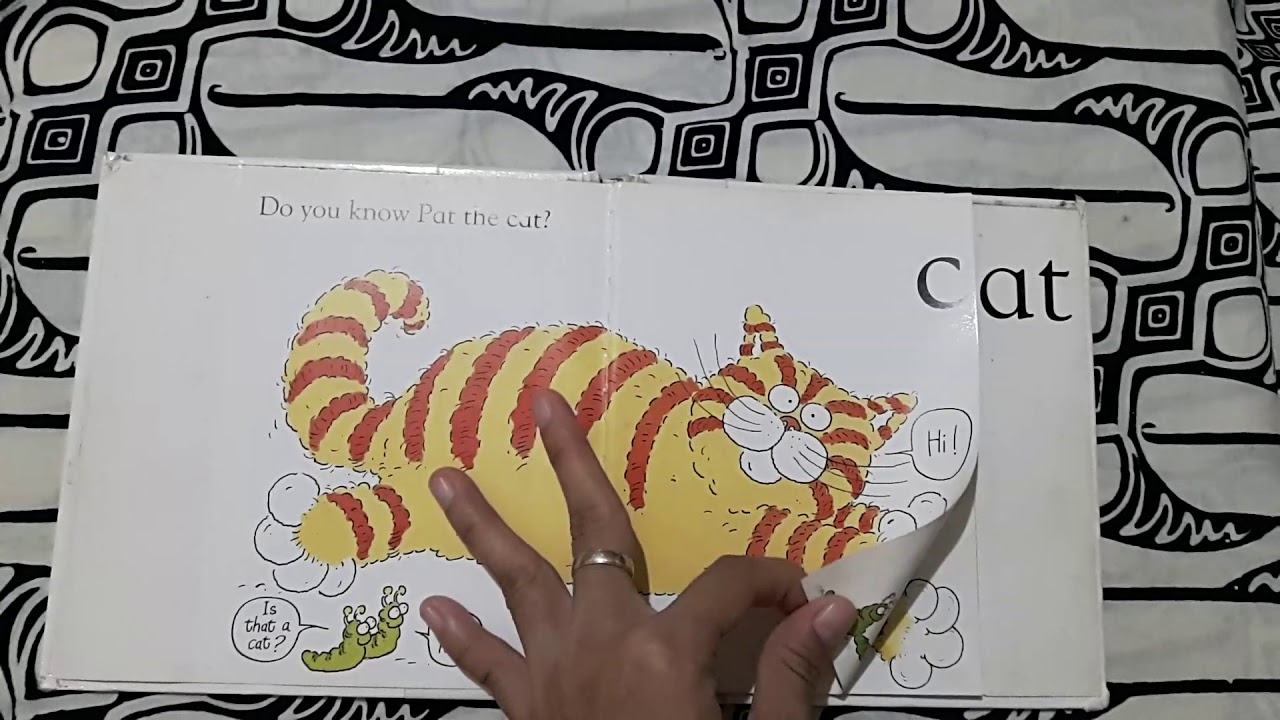 Pat the cat - a flip the page, rhyme and read book - colin and jacqui hawkins