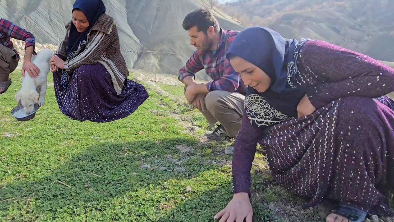 A Day in a Lush Field: Atabek and Shahin's Efforts to Irrigate It