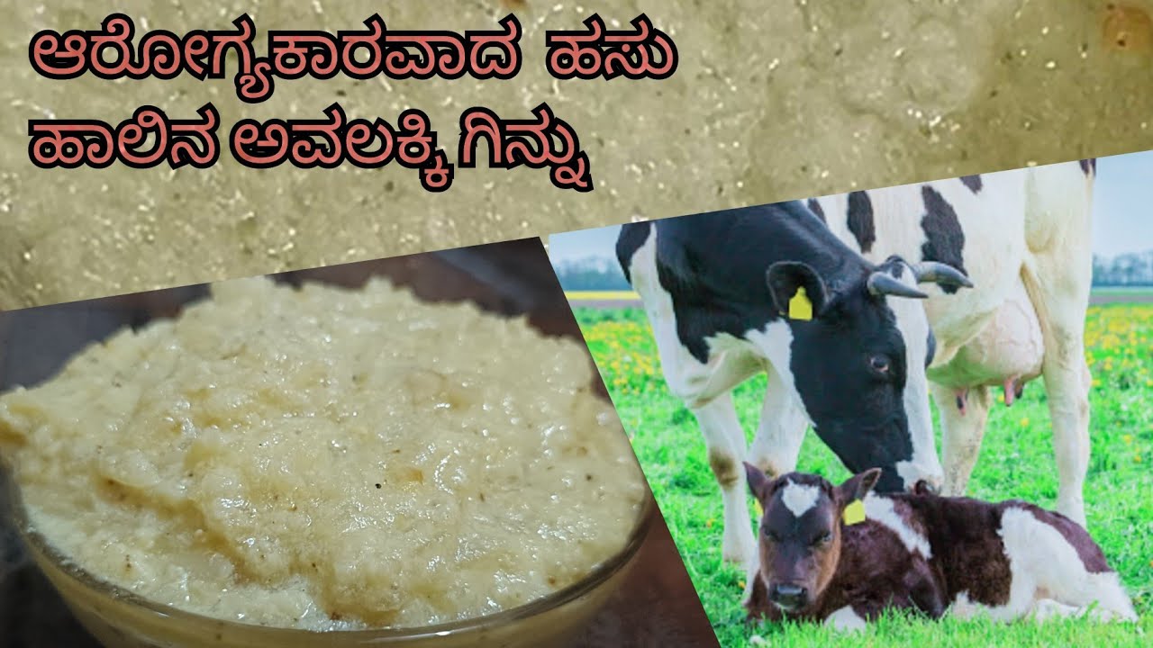 ಆರೋಗ್ಯಕರವಾದ ಹಸು ಹಾಲಿನ ಗಿನ್ನು ಮಾಡುವ ವಿಧಾನ/ colostrum milk sweet recipe/avalakki ginnu #ginnurecipe