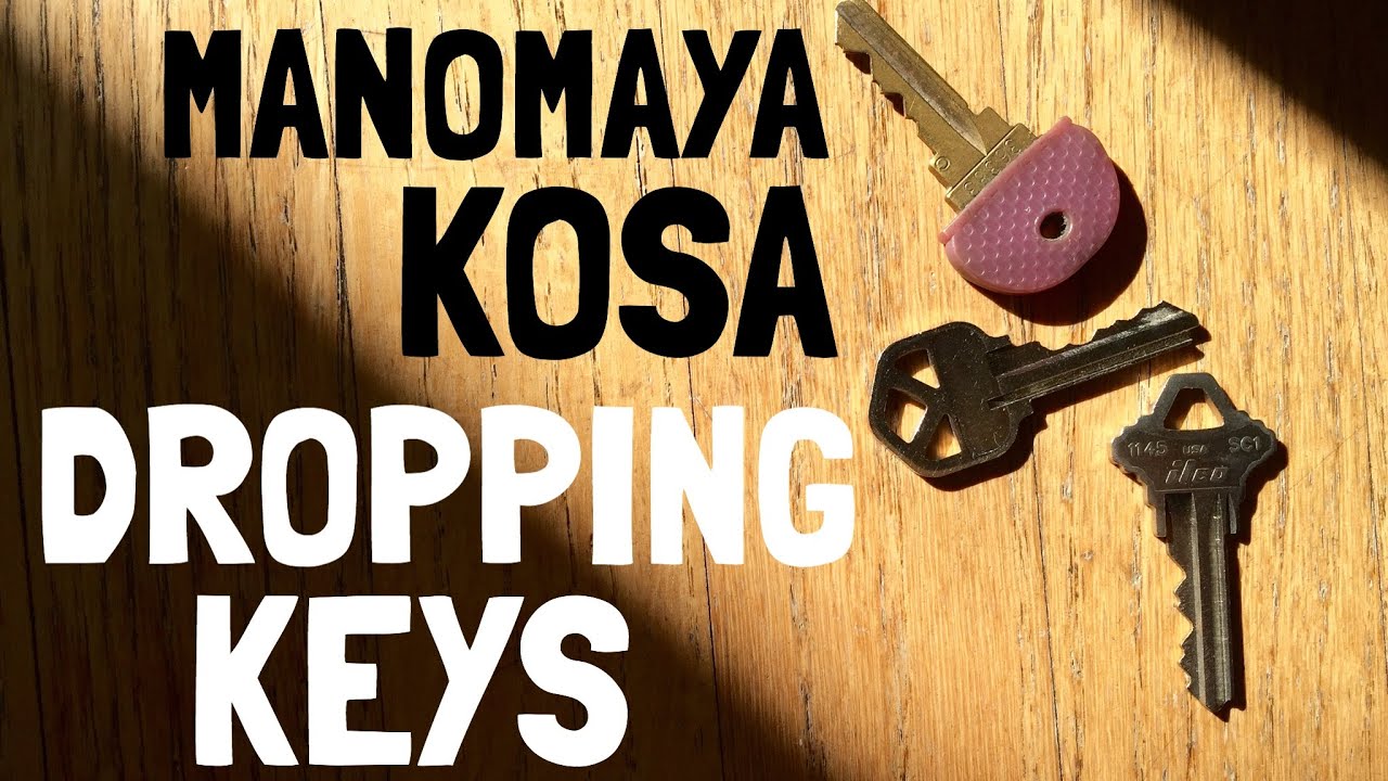 Shala Teaching: Manomaya Kosa