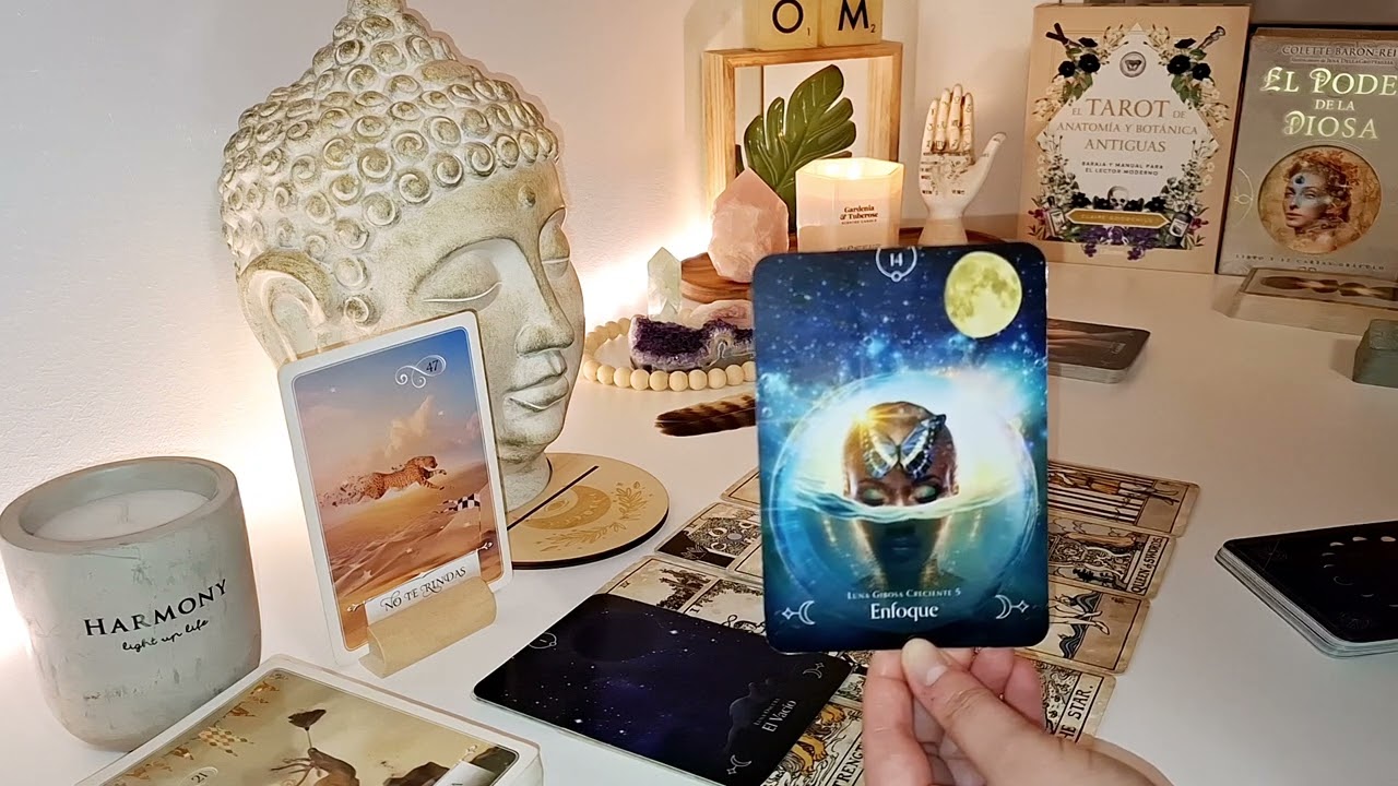 ❤️‍🔥IMPACTANTE CANALIZACIÓN DE TU PERSONA ESPECIAL❤️‍🔥TAROT INTERACTIVO