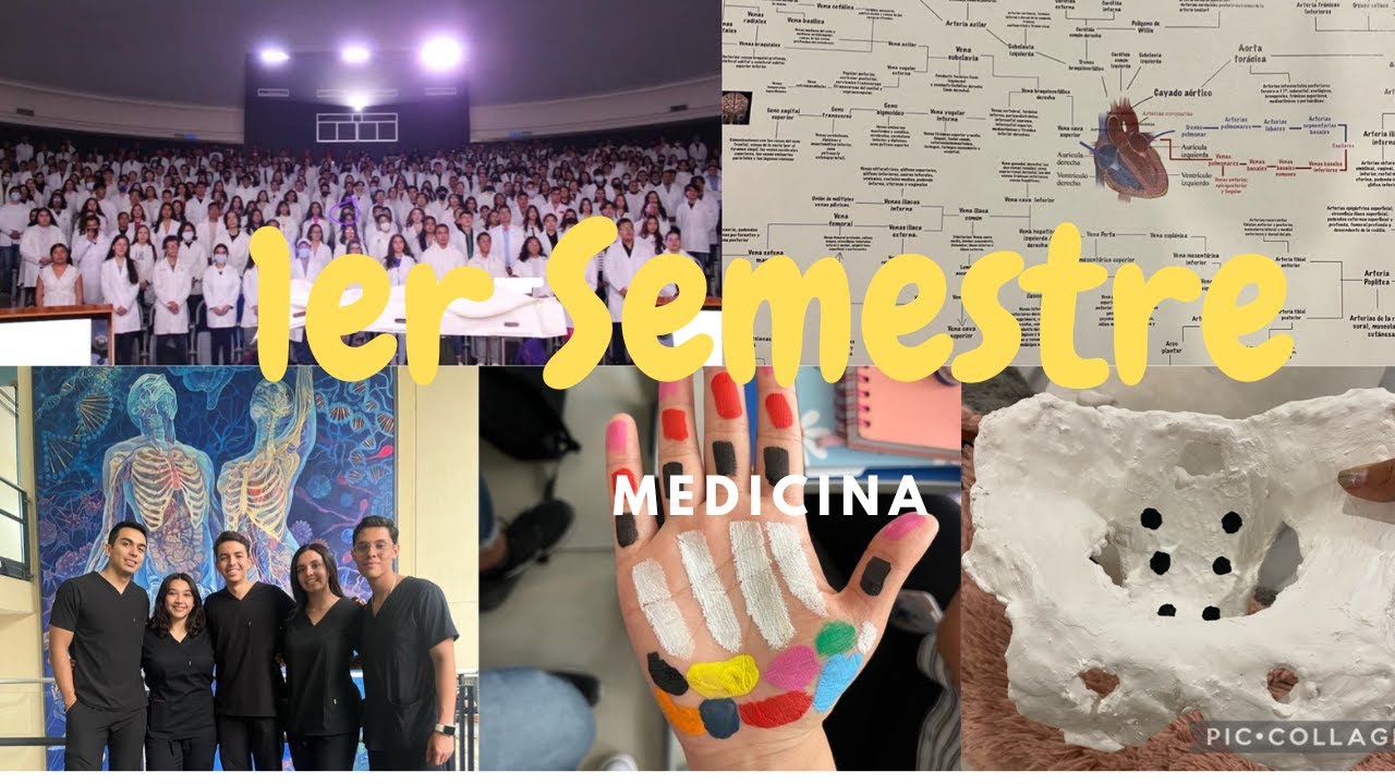 Mi experiencia en primer semestre de medicina I UdeG ¿Por qué la gente se sae?