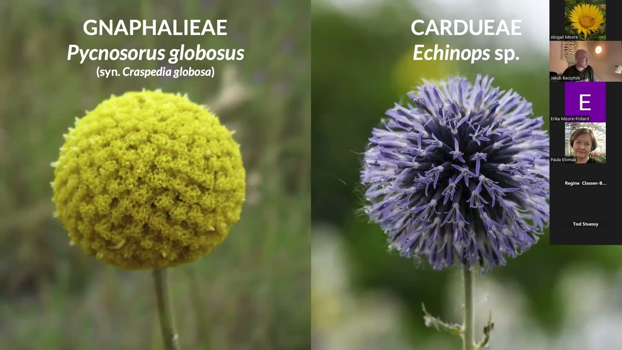 TICA Talks - September 2025