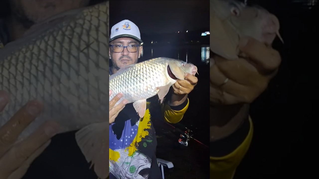 Fishing carp Dam Billings Brazil