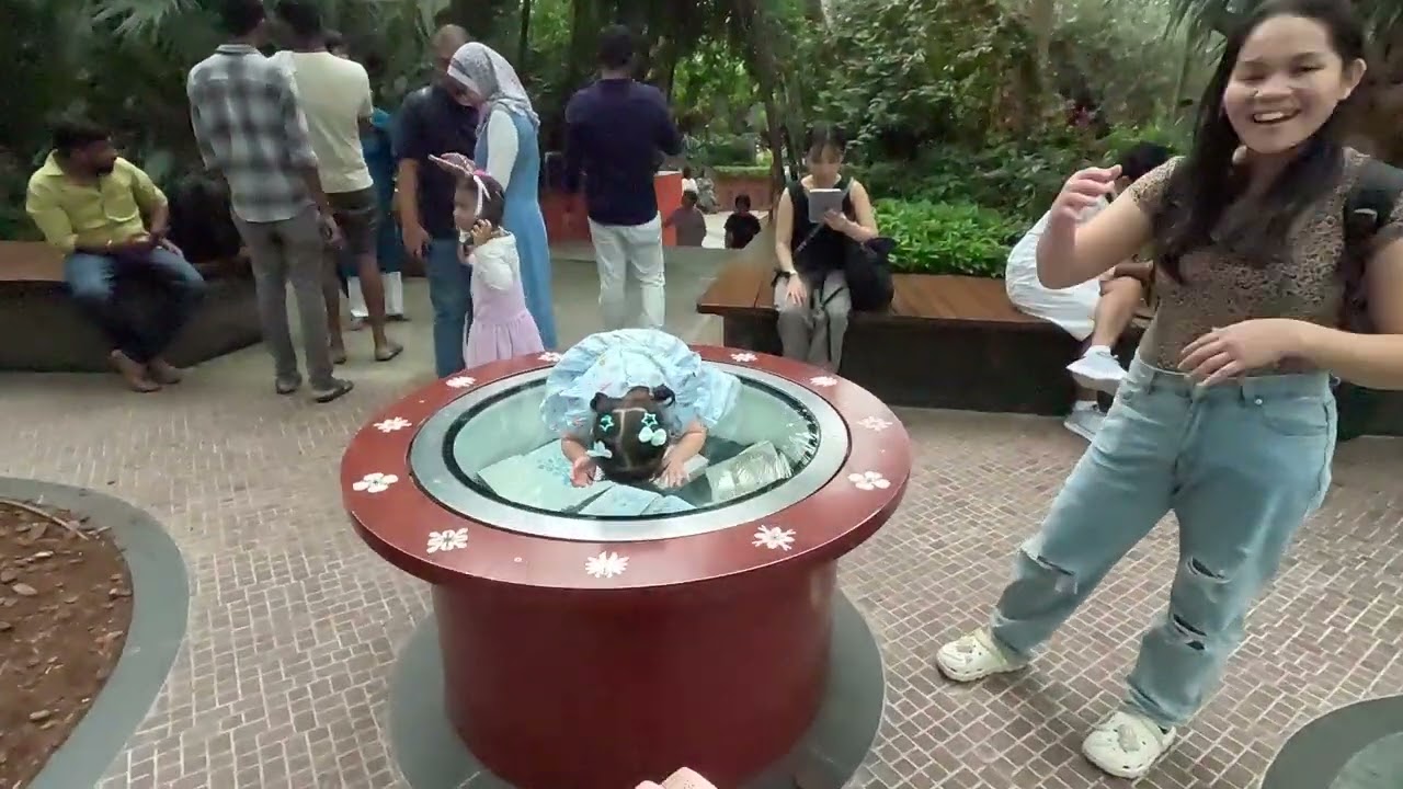 SINGAPORE FLOWER DOME (Part 1)