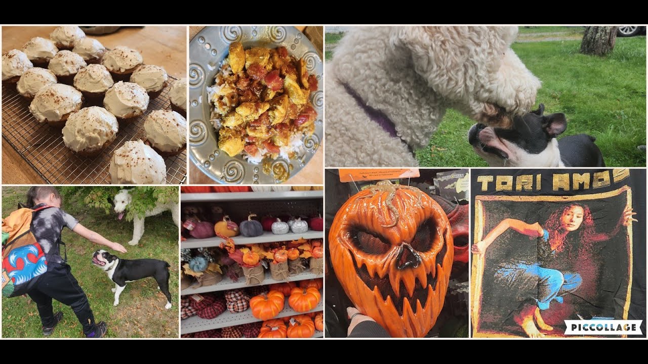 DITL: Frenchy Fun, Boris made a Friend, Dollarama trip and More