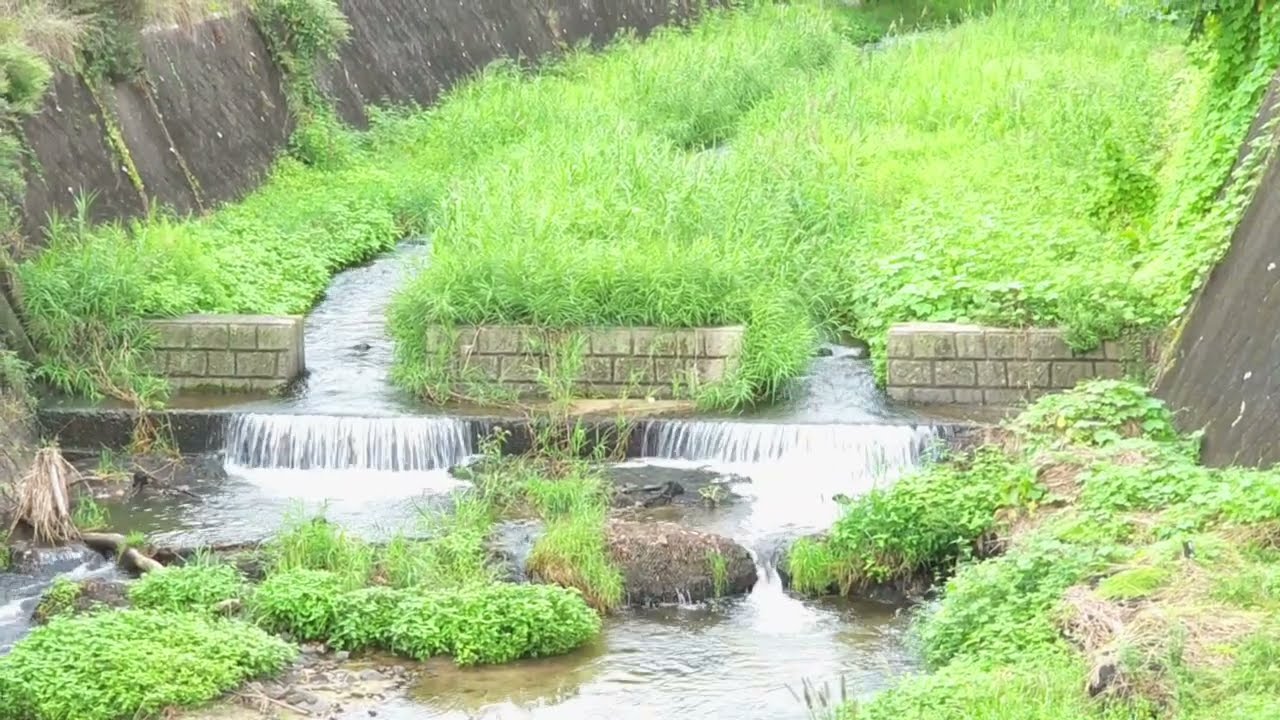 川俣町の景色