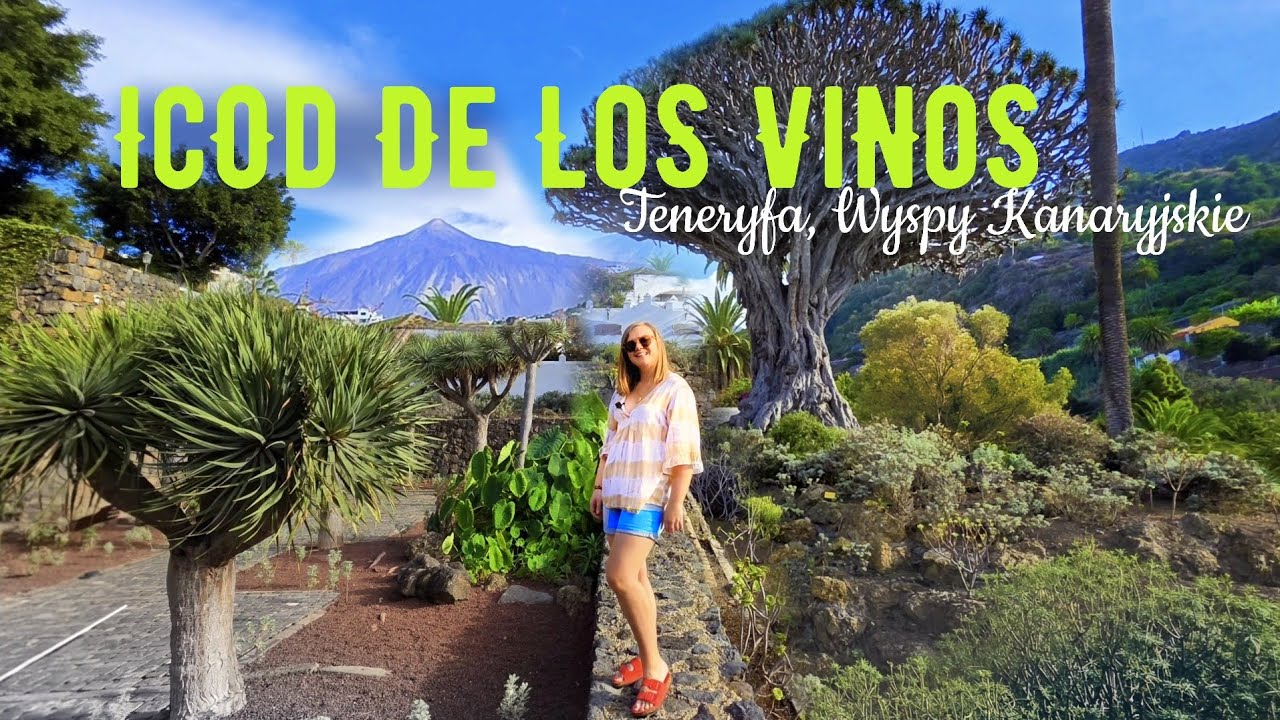 Teneryfa - Co Warto Zobaczyć? Icod de Los Vinos: Deski San Andr&eacute;s, Cueva del Viento, Drago Milenario