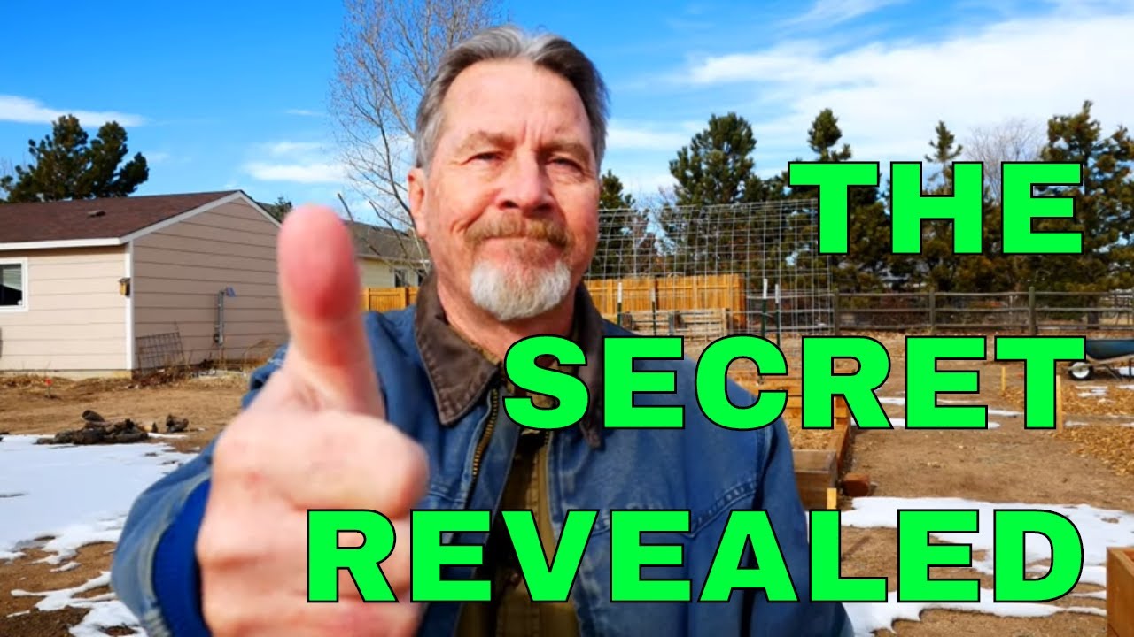 How to Get a Green Thumb