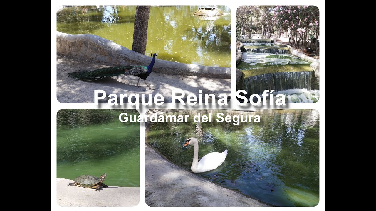 Parque Reina Sofía, Guardamar del Segura, Alicante, España  /4k/