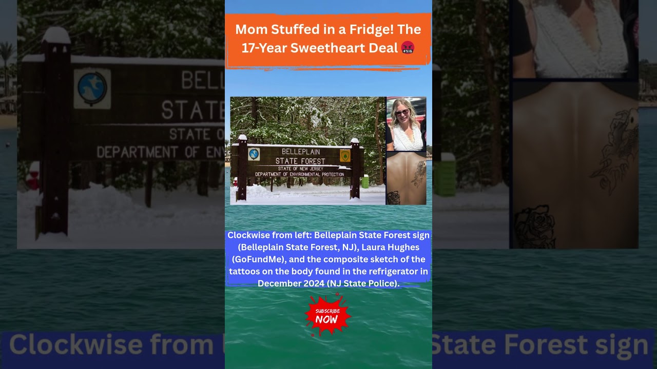 Is 17 Years Enough for Stuffing a Mother in a Fridge? 😡#crime #law #shorts #shortsfeed