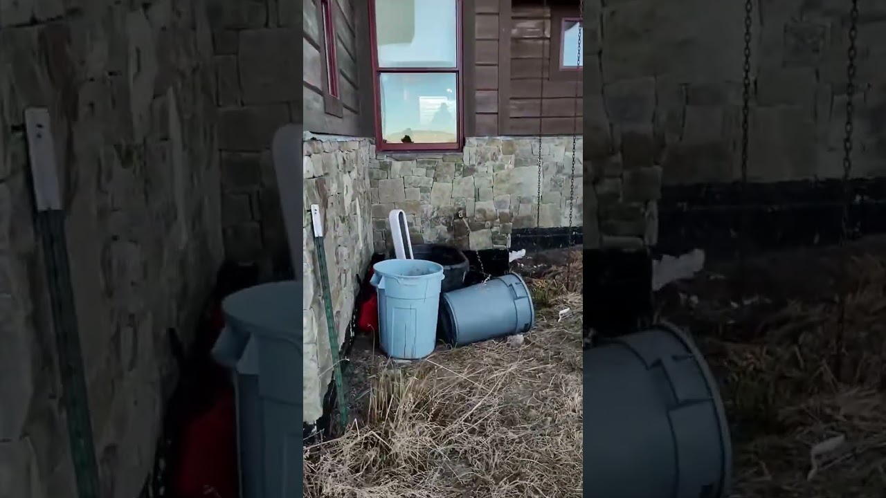BoomBoom Floods The House 🏠🦬💦😱
