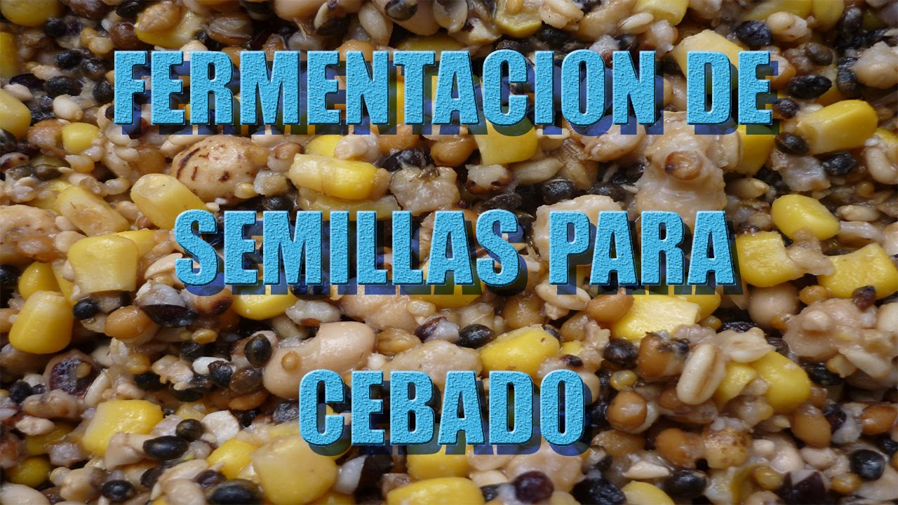 Carpfishing: Fermentación de semilla para cebado(Chufa y Maíz)