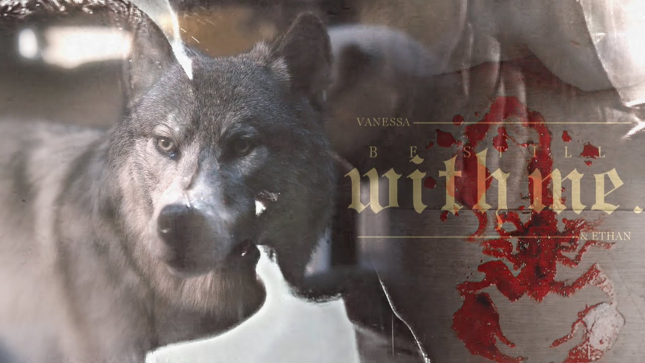 The scorpion and the wolf.