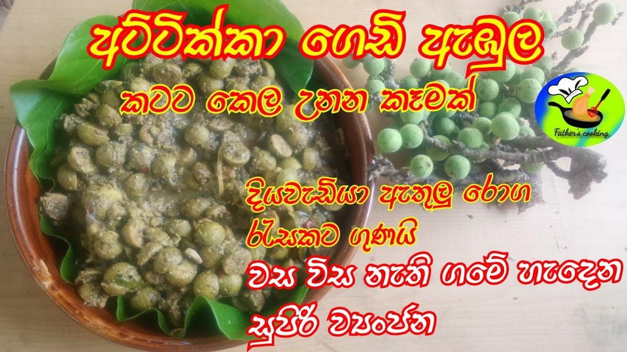 ගමේ හදන අට්ටික්කා ගෙඩි ඇඹුල . Cluster fig curry.
