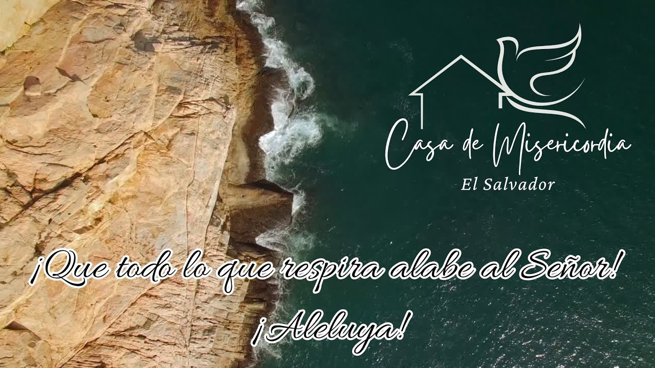 ¡Que todo lo que respira alabe al Señor!