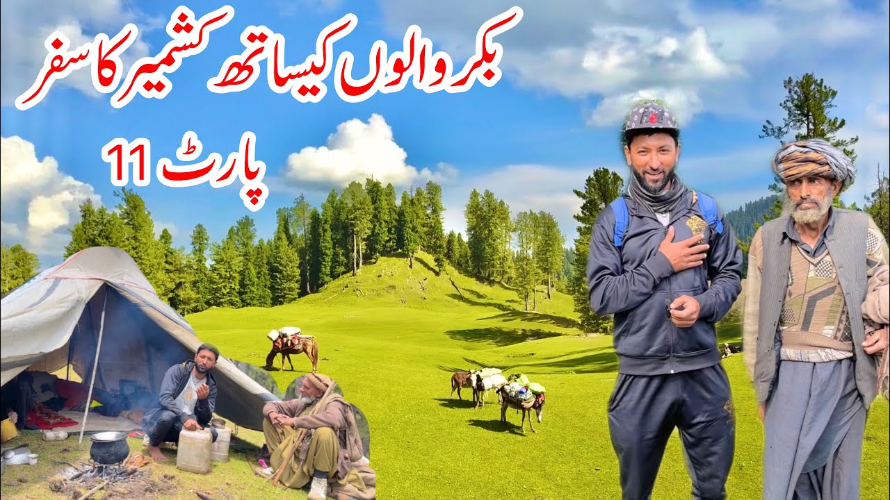 Bakrwals Traveling in Kashmir | PART 11 | Nomads Life | Khana Badosh