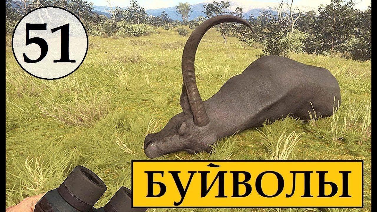 ОХОТА на Азиатских БУЙВОЛОВ TheHunter Call of the Wild # 51