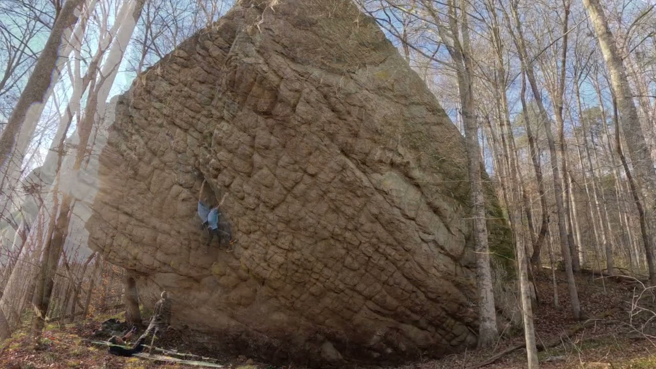 Highball or Solo?