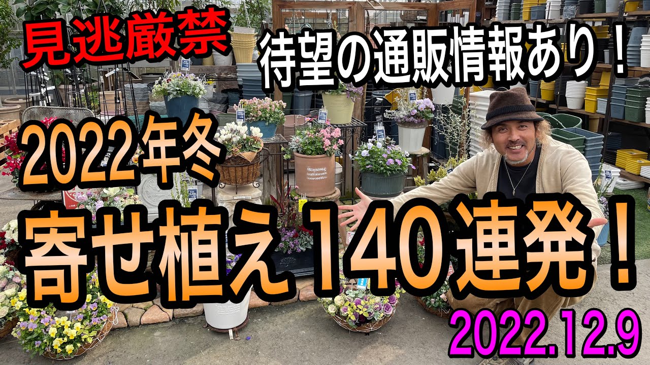 【寄せ植え】2022年12月オニヅカ寄せ植えコレクション！