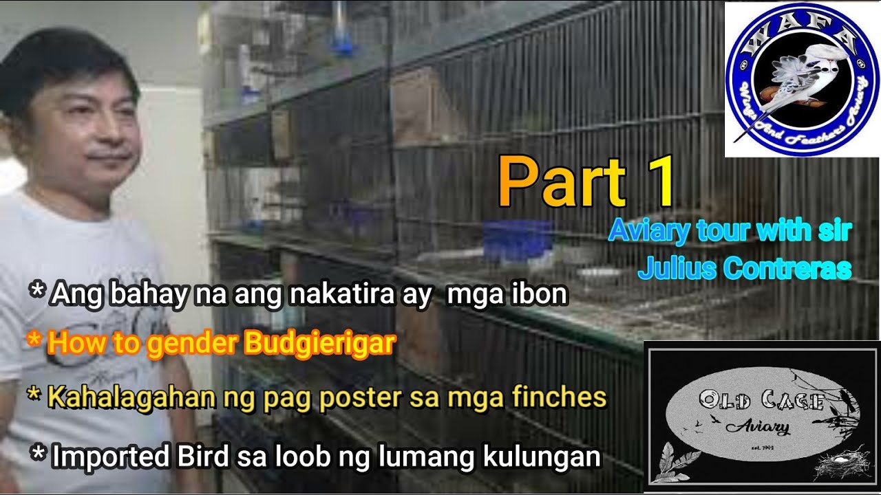 Aviary tour sa bahay ng judge/mentor sa birdshow Mr. Julius Contreras at konting tips sa pag iibon