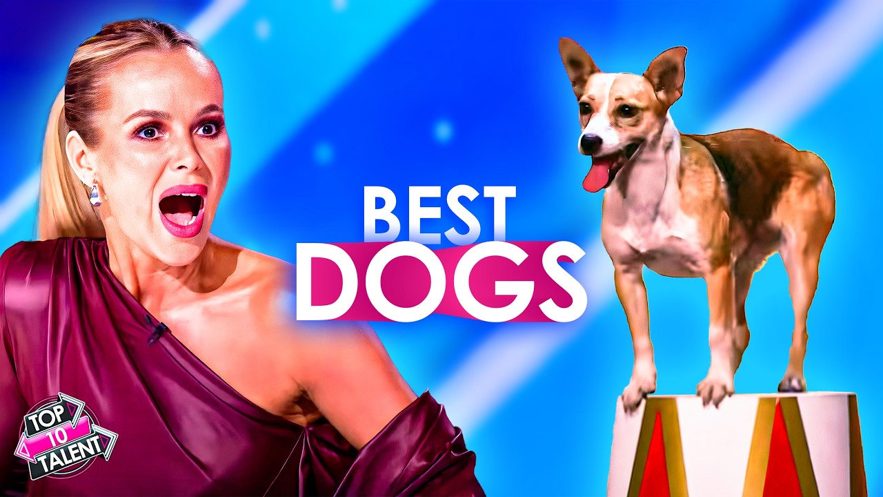 BEST DOGS That Can Win On Got Talent!
