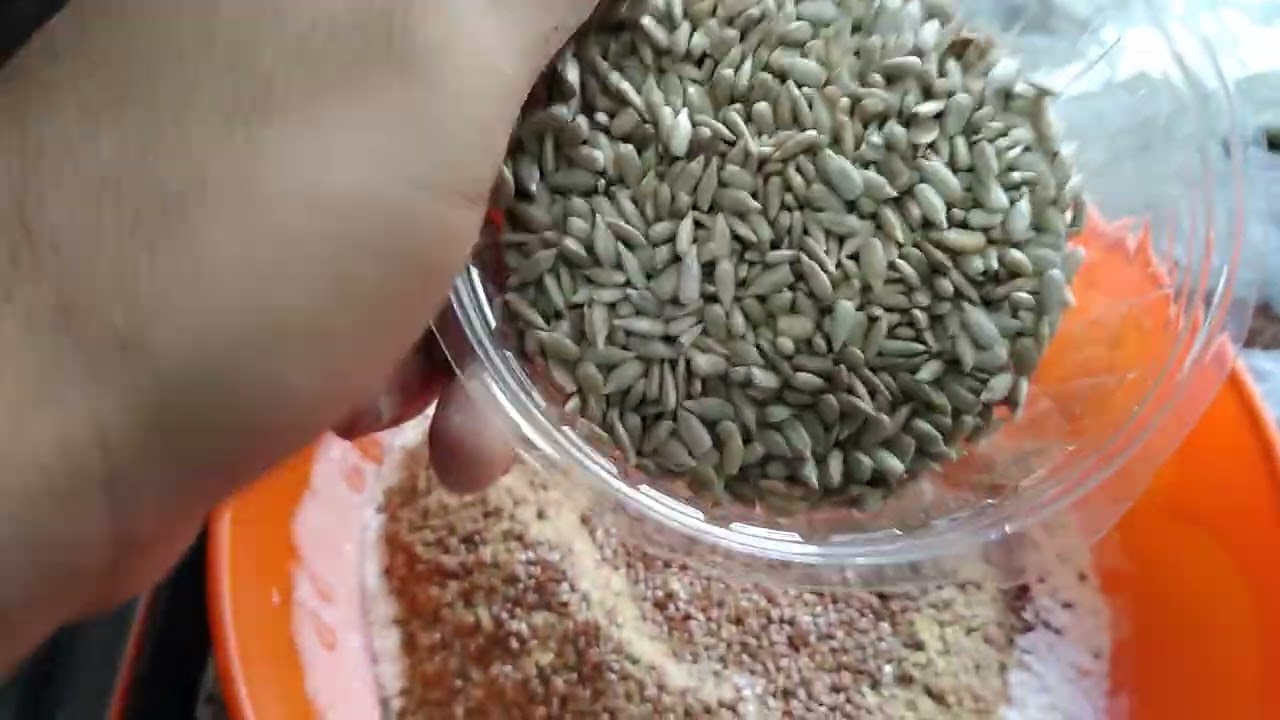 Pan integral con semillas de lino y girasol parte 1 