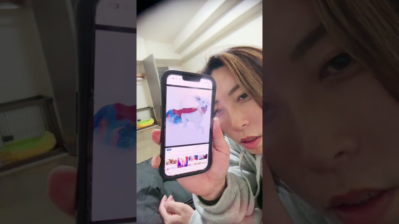 新人ライバーが泊まりにくる！？投票イベント協力お願いします。　ルイージ