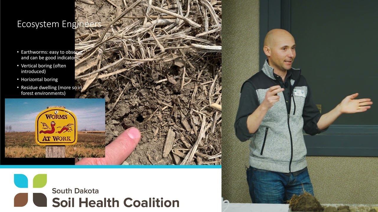 2023 Soil Health Conference: Kent Vlieger - Soil Life: What's in it for you?