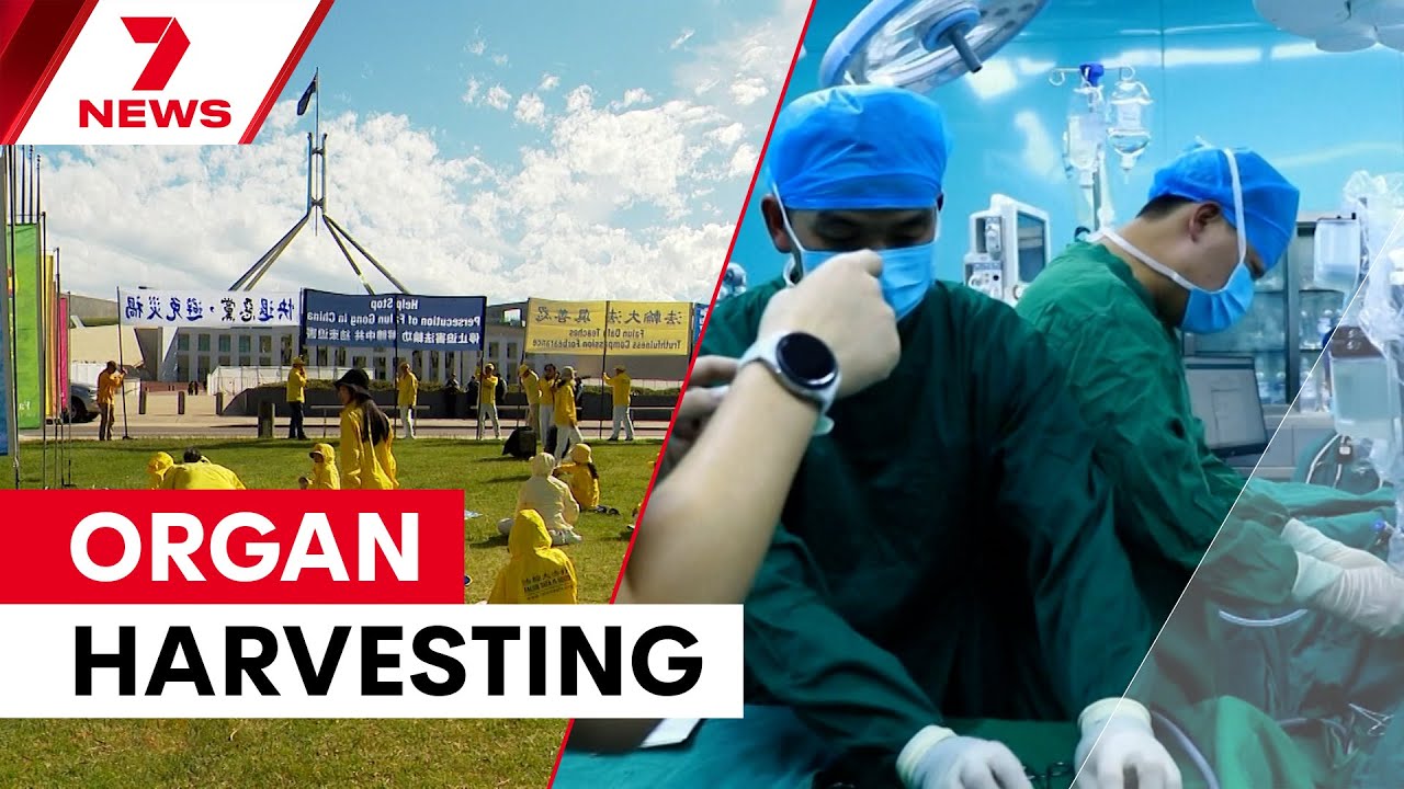 Fighting against the horror of forced organ harvesting | The Issue | 7NEWS