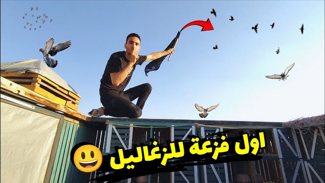 اول فزعه للحمام 🤫ونقلت الزغاليل الجديده في الغية (يوم غريب)