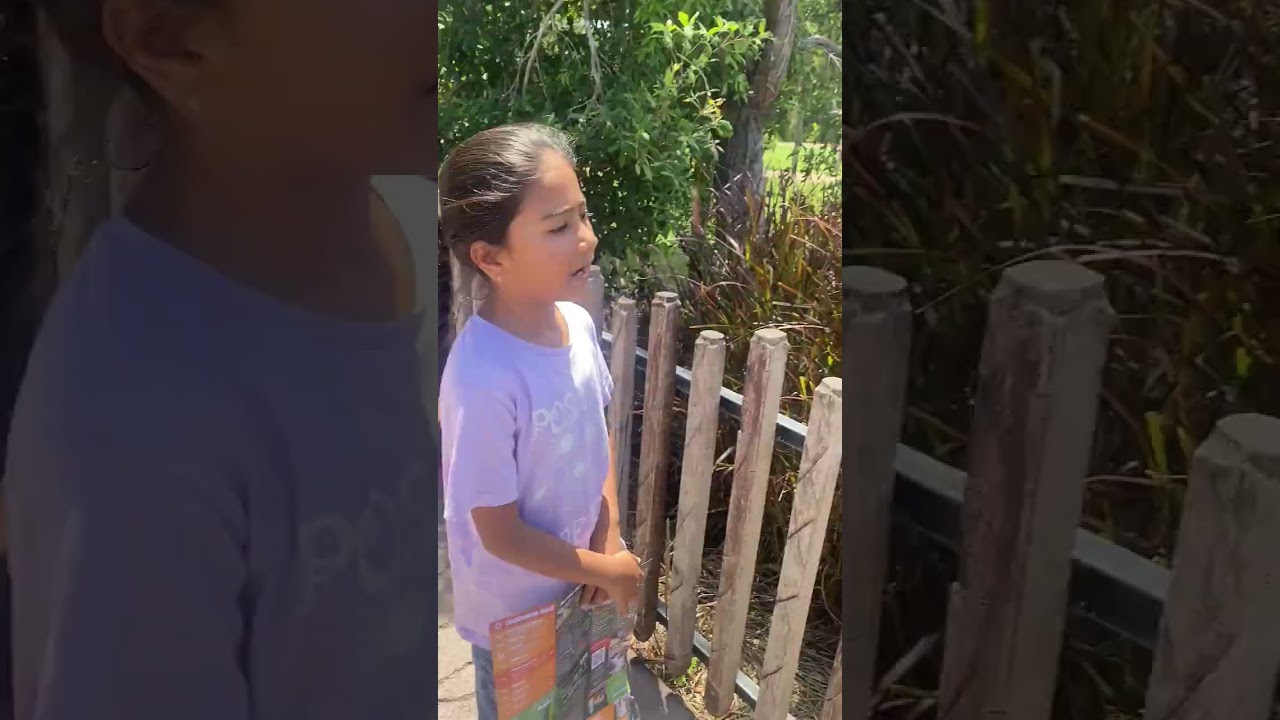 Australia Zoo Visit
