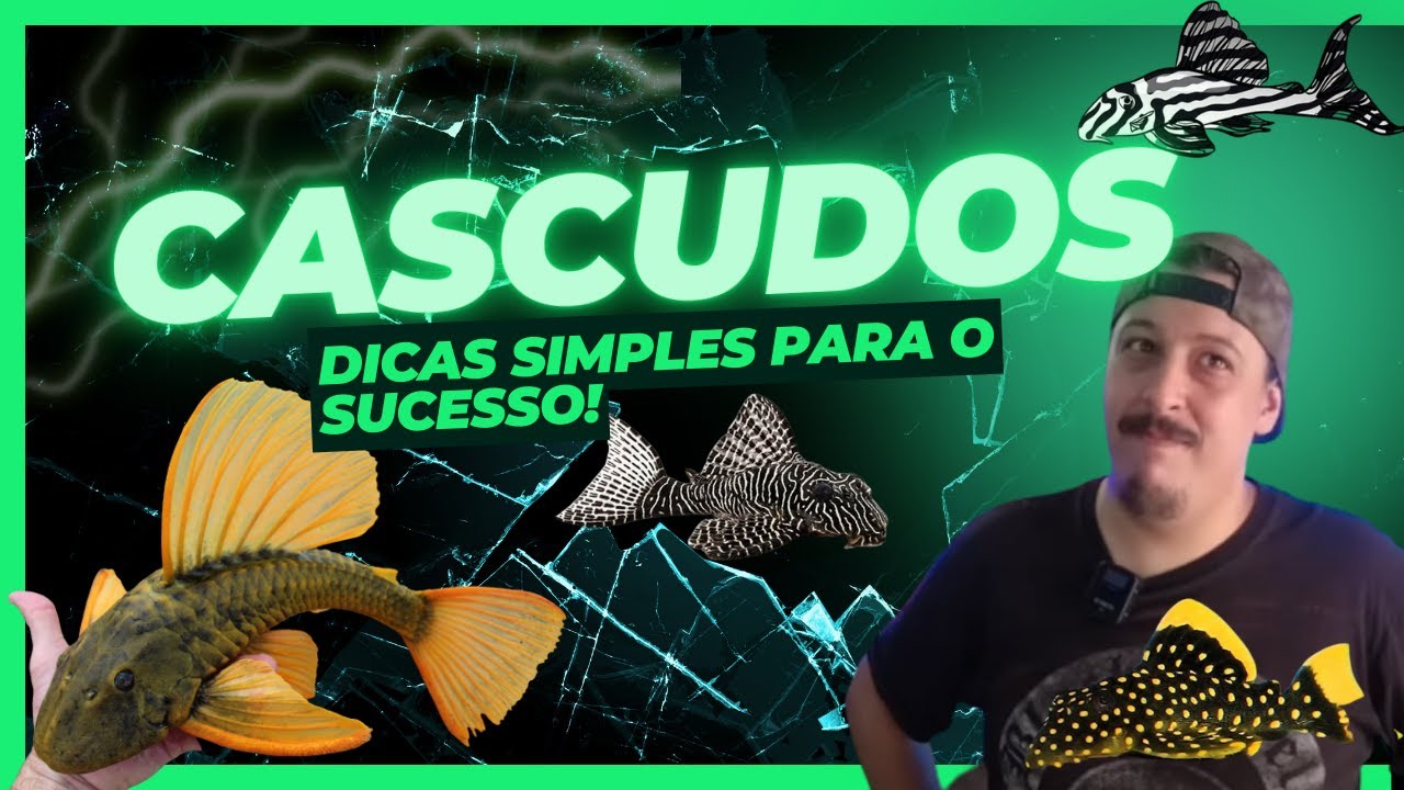 Cascudos (Plecos) - Dicas simples para o sucesso ! (Corte) (Plecos) - Simple tips for success !