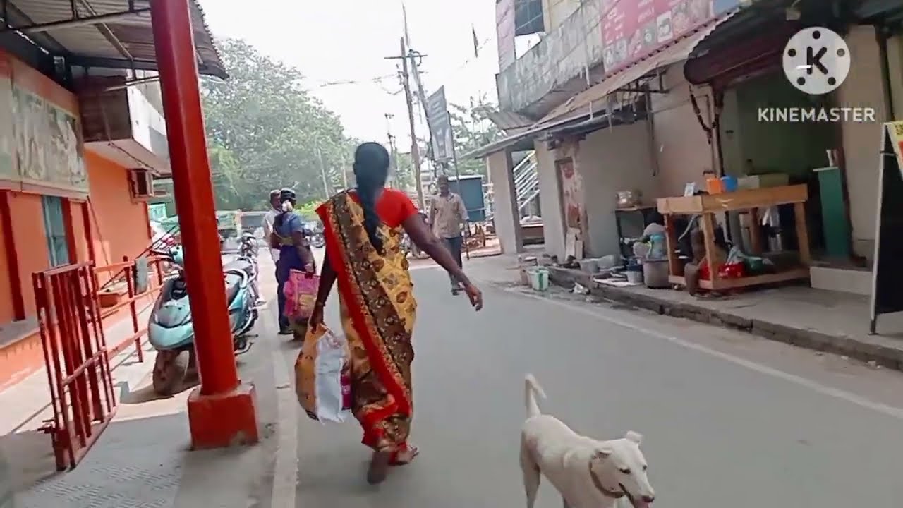  mini vlog # santali vlog # santalivideo