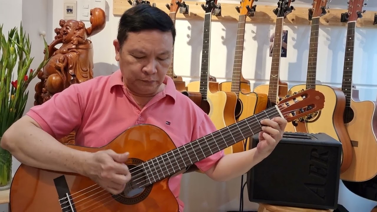 Đàn guitar Eko Vibra 150 CW EQ chính hãng của Ý