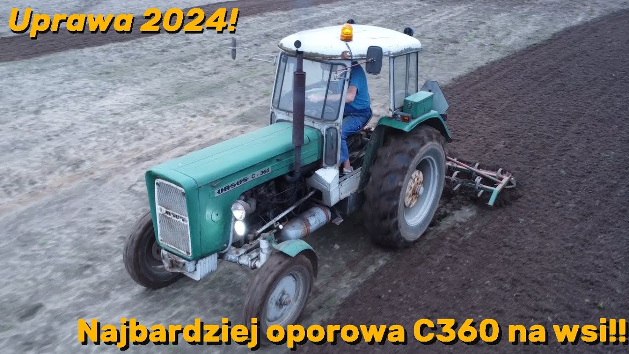 🔥Najbradziej Oporowa C360 na wsi⛔Czyli Uprawa 2024 Na Kogucie w GrSikorscy😈Ursus C360 na pełnej⛔