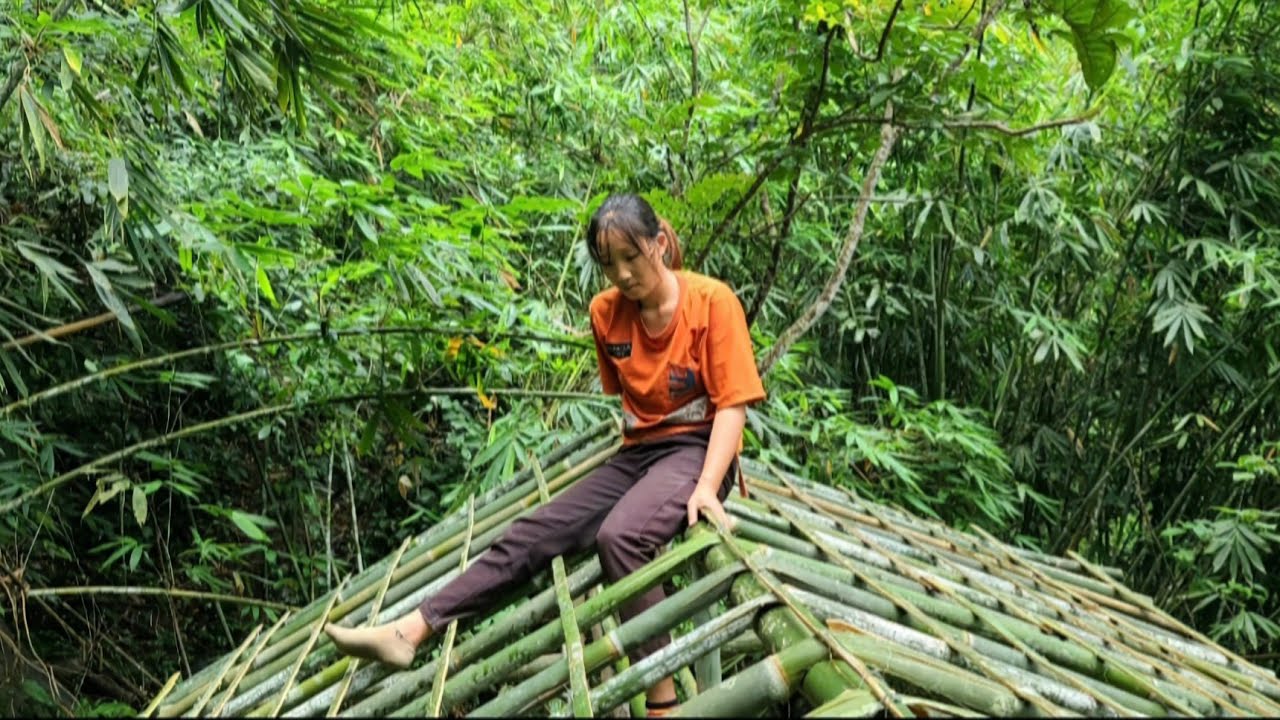 Journey of a single girl building a bamboo house alone - Thuy's daily life