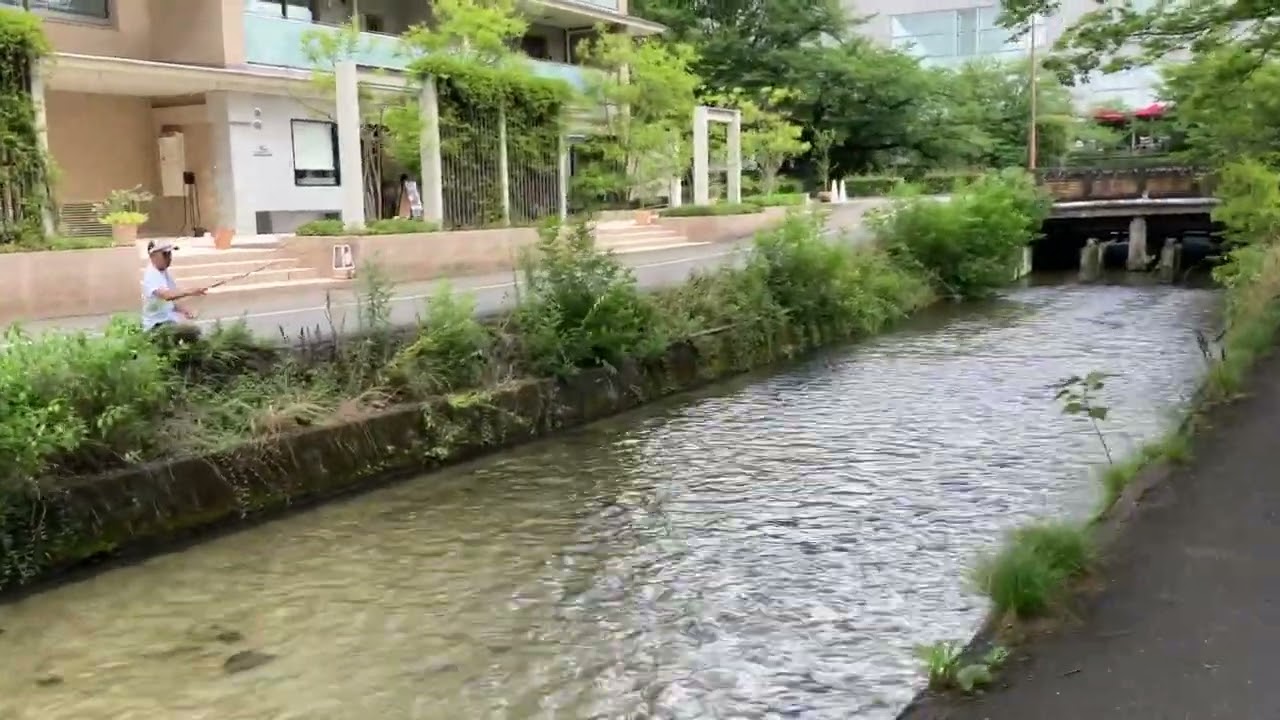 Japan Kyoto Near the Enshoujichou July 16th 2023