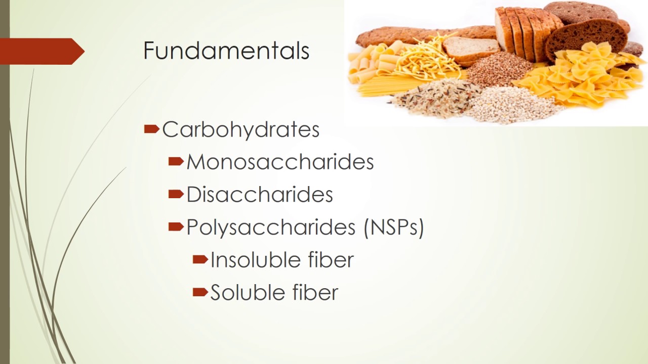 ANTH 4957 - Human Nutrition