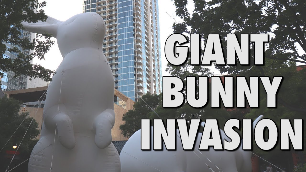 Uptown Charlotte Giant Bunnies, Musical Seesaws, Fast Scooters